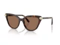 Swarovski Lunettes de Soleil SK 6039 100273