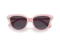 Swarovski Lunettes de Soleil SK 6039 1041P5