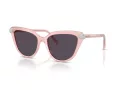 Swarovski Lunettes de Soleil SK 6039 1041P5