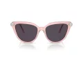 Swarovski Lunettes de Soleil SK 6039 1041P5