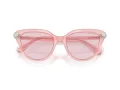 Swarovski Lunettes de Soleil SK 6039 1041P5