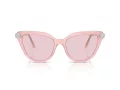 Swarovski Lunettes de Soleil SK 6039 1041P5