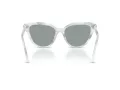 Swarovski Lunettes de Soleil SK 6039 1042/1