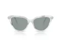 Swarovski Lunettes de Soleil SK 6039 1042/1