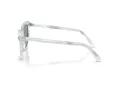 Swarovski Lunettes de Soleil SK 6039 1042/1