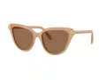 Swarovski Lunettes de Soleil SK 6039 2002OK