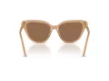 Swarovski Lunettes de Soleil SK 6039 2002OK