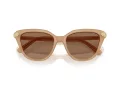 Swarovski Lunettes de Soleil SK 6039 2002OK