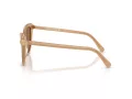 Swarovski Lunettes de Soleil SK 6039 2002OK