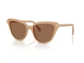 Swarovski Lunettes de Soleil SK 6039 2002OK