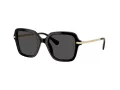 Swarovski Lunettes de Soleil SK 6040 100187