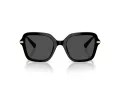 Swarovski Lunettes de Soleil SK 6040 100187