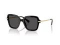 Swarovski Lunettes de Soleil SK 6040 100187