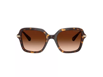 Swarovski Lunettes de Soleil SK 6040 100274