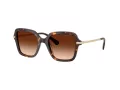 Swarovski Lunettes de Soleil SK 6040 100274