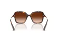 Swarovski Lunettes de Soleil SK 6040 100274