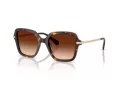 Swarovski Lunettes de Soleil SK 6040 100274