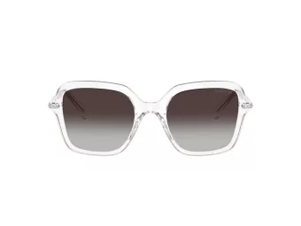 Swarovski Lunettes de Soleil SK 6040 10278G