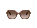 Swarovski Lunettes de Soleil SK 6040 106713