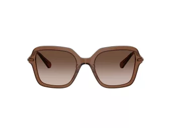 Swarovski Lunettes de Soleil SK 6040 106713