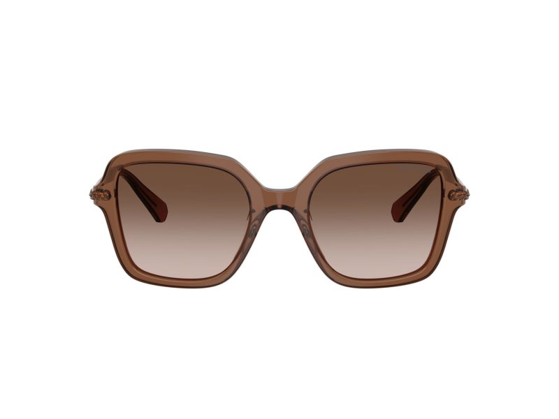 Swarovski Lunettes de Soleil SK 6040 106713