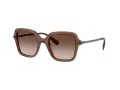 Swarovski Lunettes de Soleil SK 6040 106713