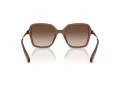 Swarovski Lunettes de Soleil SK 6040 106713