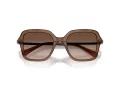 Swarovski Lunettes de Soleil SK 6040 106713