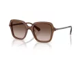 Swarovski Lunettes de Soleil SK 6040 106713