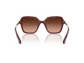 Swarovski Lunettes de Soleil SK 6040 10735M