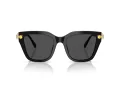 Swarovski Lunettes de Soleil SK 6041 100187