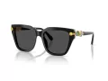 Swarovski Lunettes de Soleil SK 6041 100187
