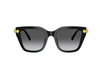 Swarovski Lunettes de Soleil SK 6041 1001T3