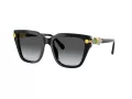 Swarovski Lunettes de Soleil SK 6041 1001T3
