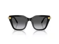 Swarovski Lunettes de Soleil SK 6041 1001T3