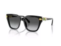 Swarovski Lunettes de Soleil SK 6041 1001T3