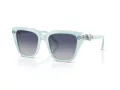 Swarovski Lunettes de Soleil SK 6041 10244L