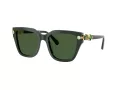 Swarovski Lunettes de Soleil SK 6041 102671