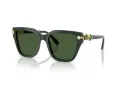 Swarovski Lunettes de Soleil SK 6041 102671