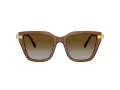 Swarovski Lunettes de Soleil SK 6041 1067T5