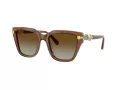 Swarovski Lunettes de Soleil SK 6041 1067T5