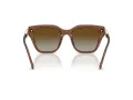 Swarovski Lunettes de Soleil SK 6041 1067T5
