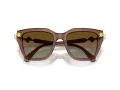 Swarovski Lunettes de Soleil SK 6041 1067T5