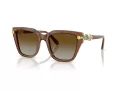 Swarovski Lunettes de Soleil SK 6041 1067T5