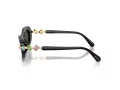 Swarovski Lunettes de Soleil SK 6042 100187