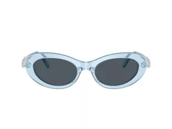 Swarovski Lunettes de Soleil SK 6042 107887