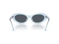 Swarovski Lunettes de Soleil SK 6042 107887