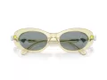 Swarovski Lunettes de Soleil SK 6042 1080/1