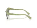 Swarovski Lunettes de Soleil SK 6043 10746R