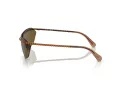 Swarovski Lunettes de Soleil SK 7001 400273